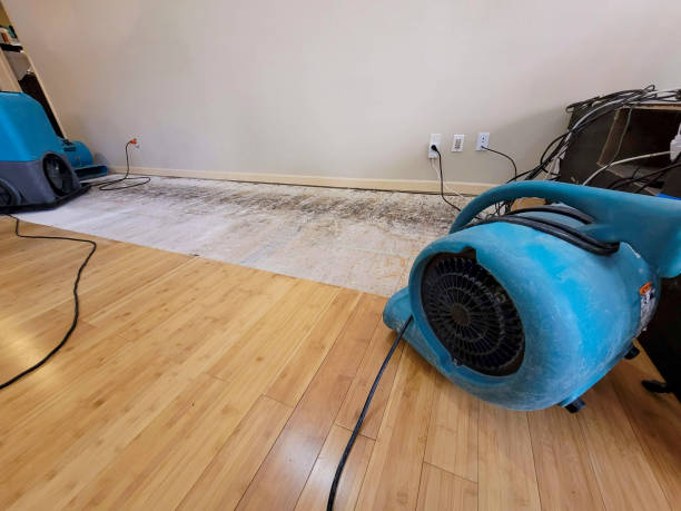 Professional Water Removal technician working in Sullivan, OH